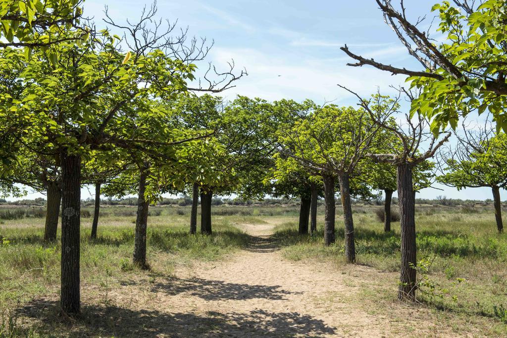 Domaine Les Muriers Vendres Bagian luar foto